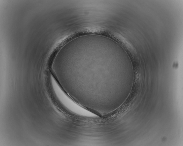 X0000097650736200803142109