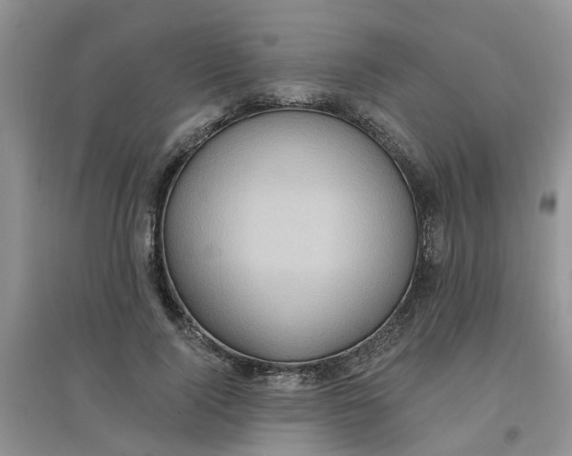 X0000097650740200803142109