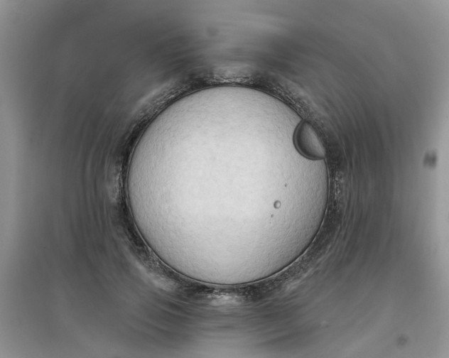 X0000097650741200803142109