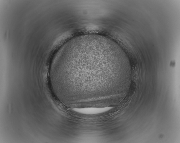 X0000097650742200803142109