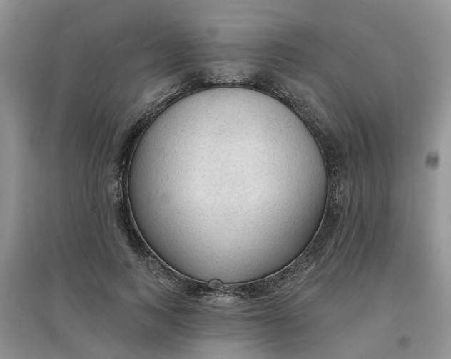 X0000097650743200803142109