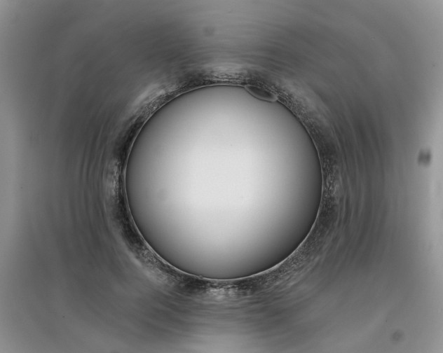 X0000097650744200803142109