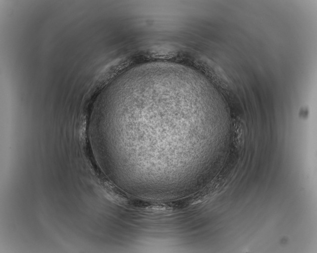 X0000097650745200803142109