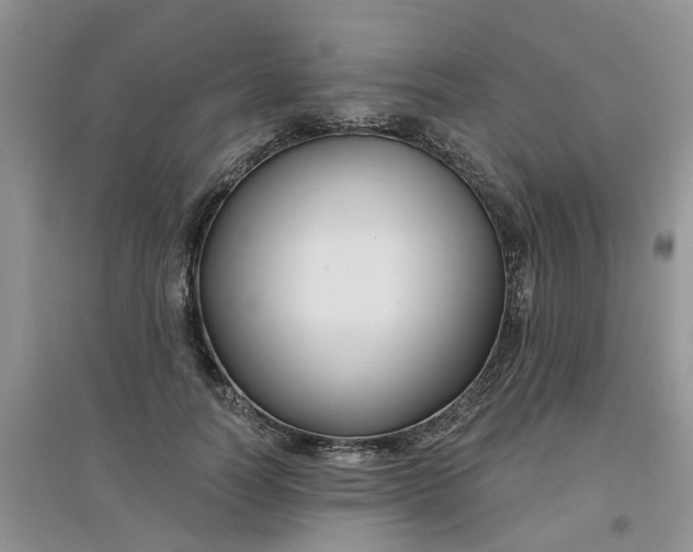 X0000097650746200803142109