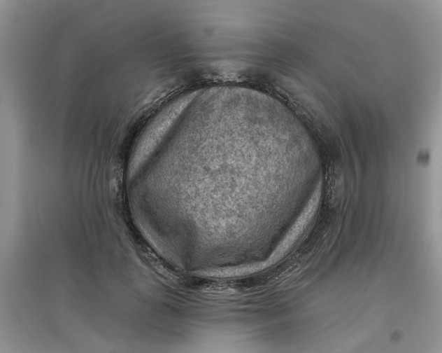 X0000097650747200803142109