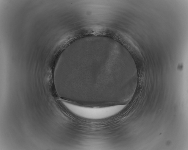 X0000097650748200803142109