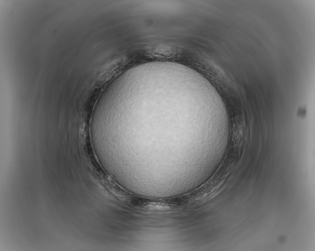 X0000097650749200803142109