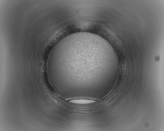 X0000097650750200803142109