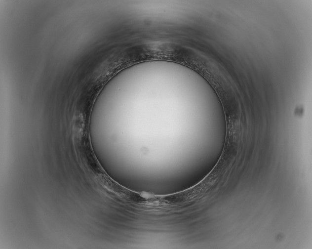 X0000097650752200803142109