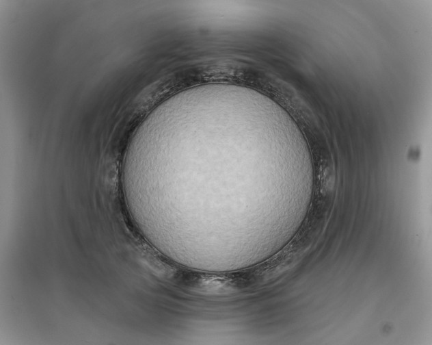 X0000097650753200803142109