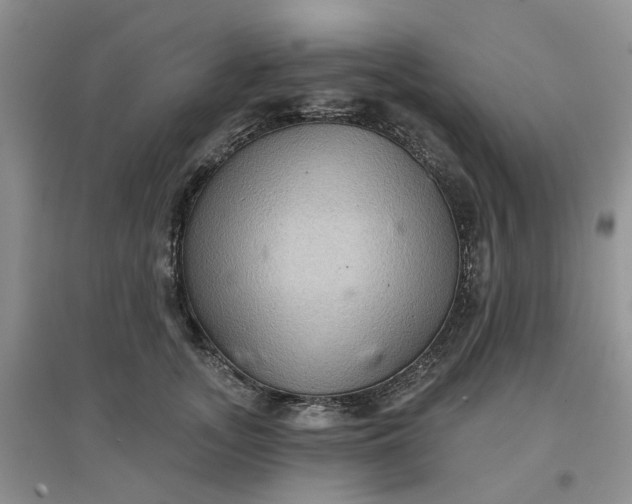 X0000097650755200803142109