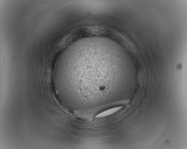 X0000097650757200803142109