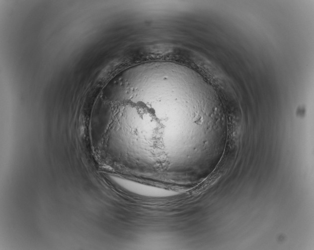 X0000097650758200803142109