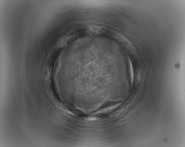 X0000097650759200803142109