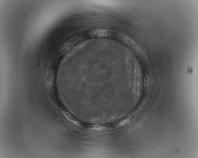 X0000097650760200803142109