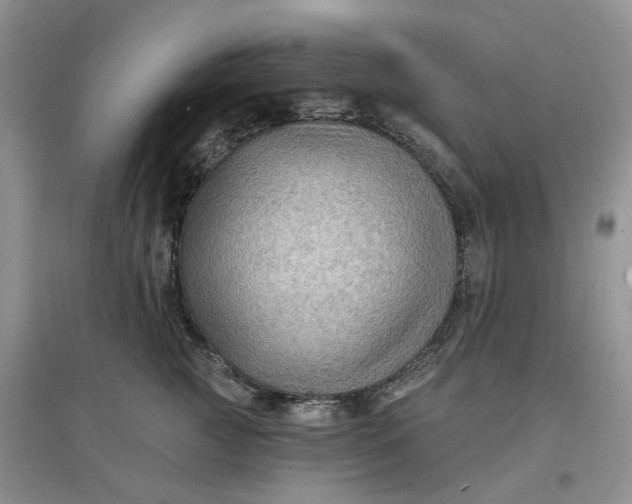 X0000097650761200803142109