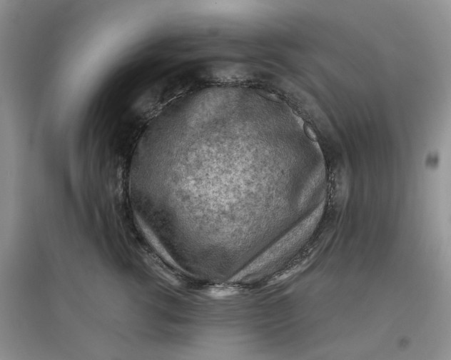 X0000097650762200803142109