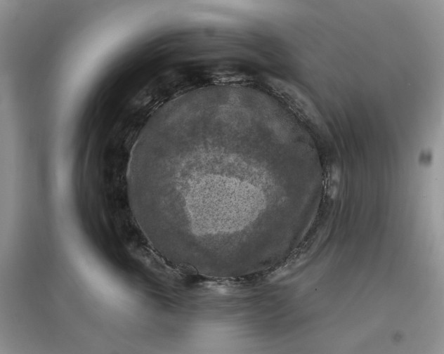 X0000097650763200803142109