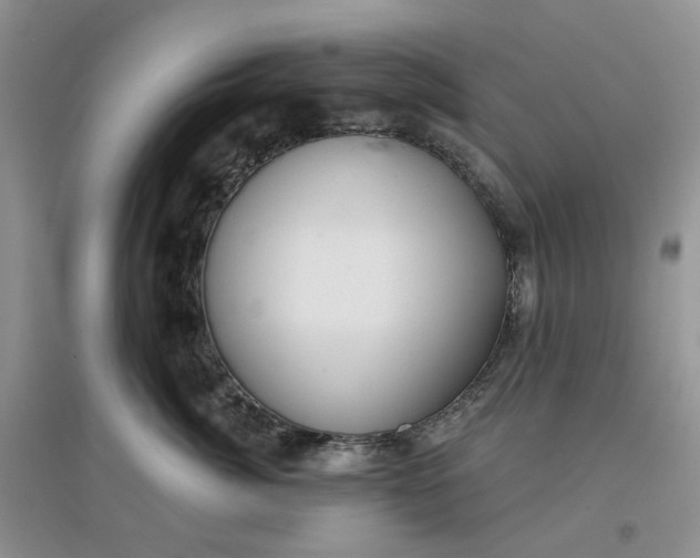 X0000097650764200803142109