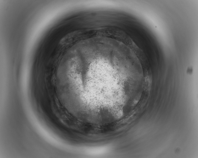 X0000097650765200803142110