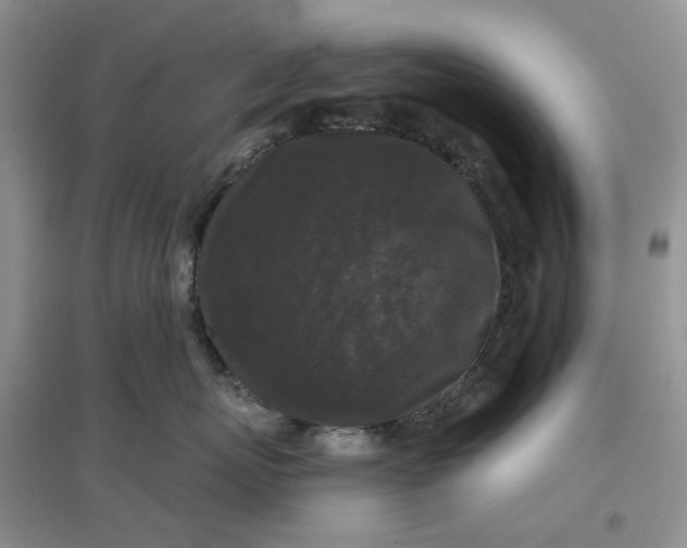 X0000097650767200803142110