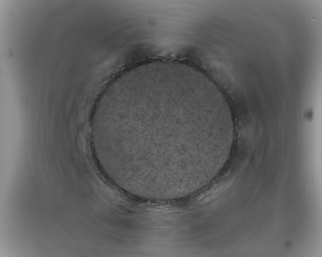 X0000097650769200803142109