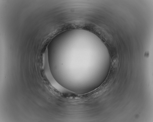 X0000097650772200803142109