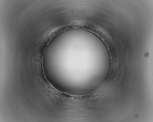 X0000097650773200803142109