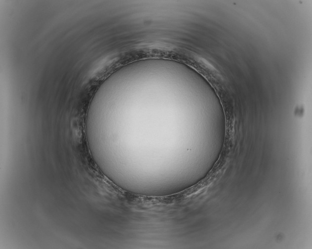 X0000097650774200803142109