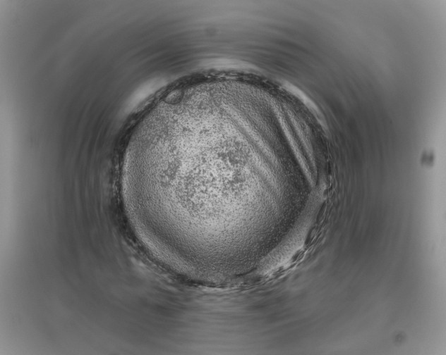 X0000097650775200803142109