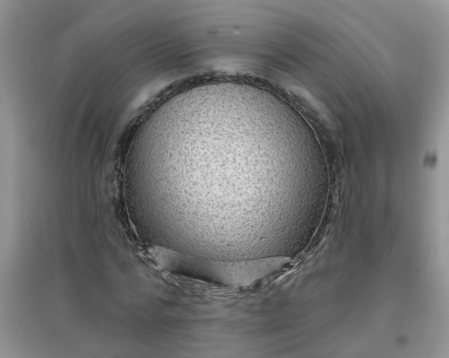 X0000097650776200803142109