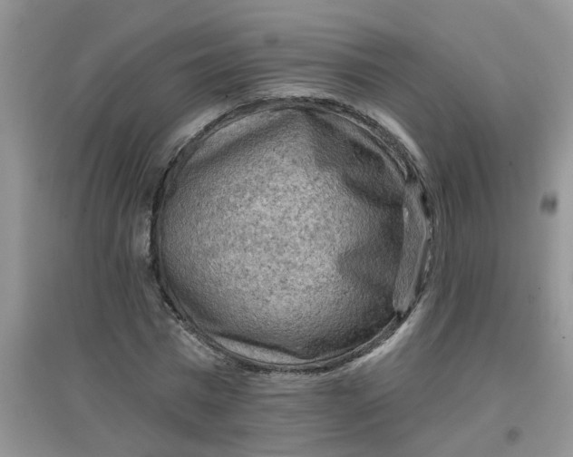 X0000097650777200803142109