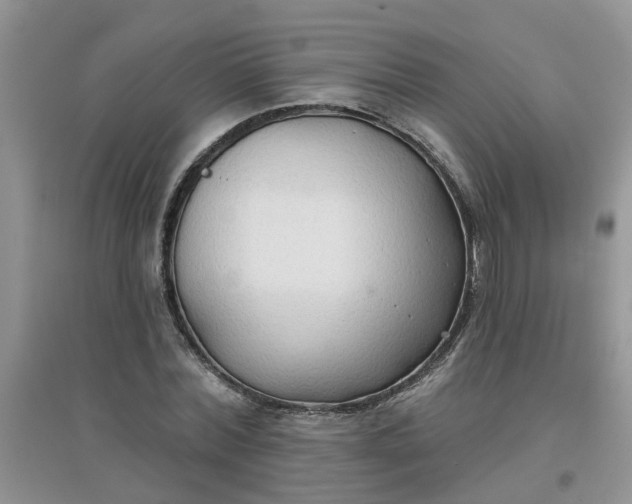 X0000097650780200803142109