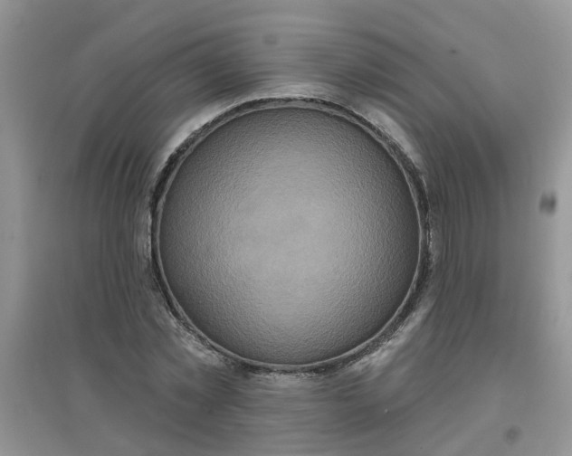 X0000097650781200803142109