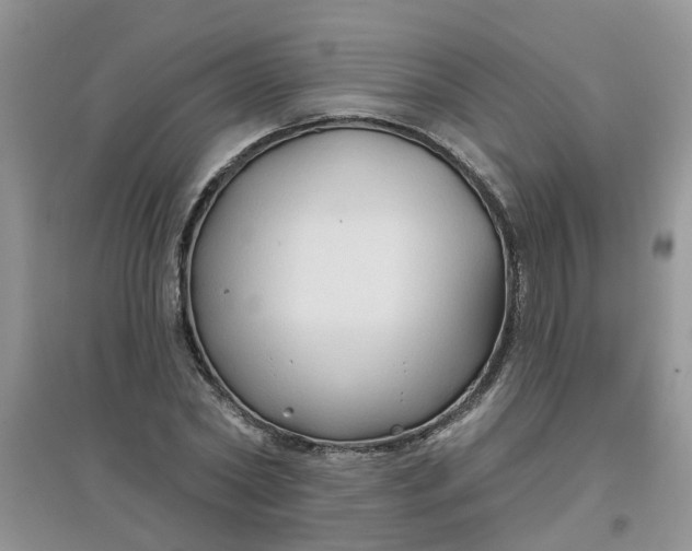 X0000097650782200803142109