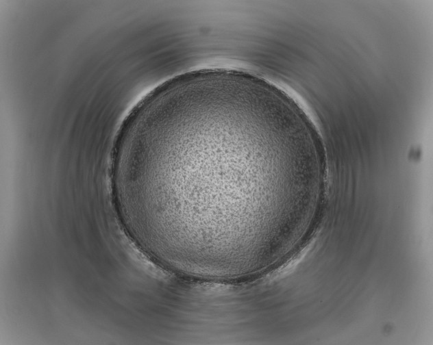 X0000097650783200803142109