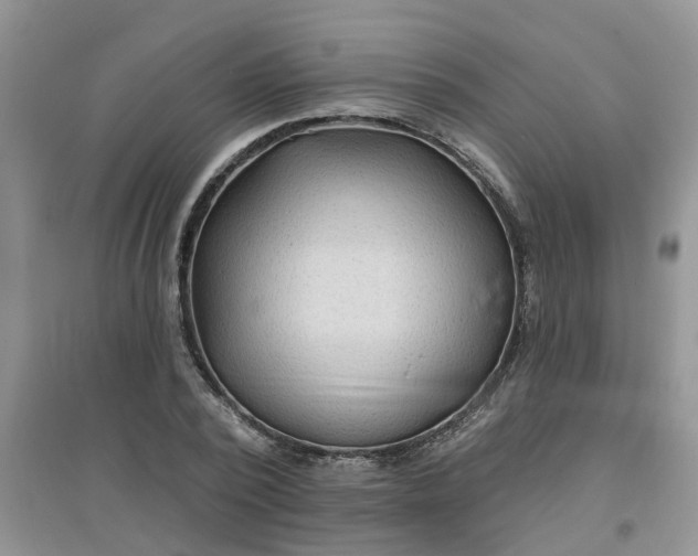 X0000097650784200803142109