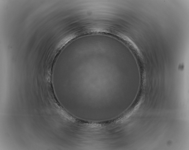 X0000097650785200803142109