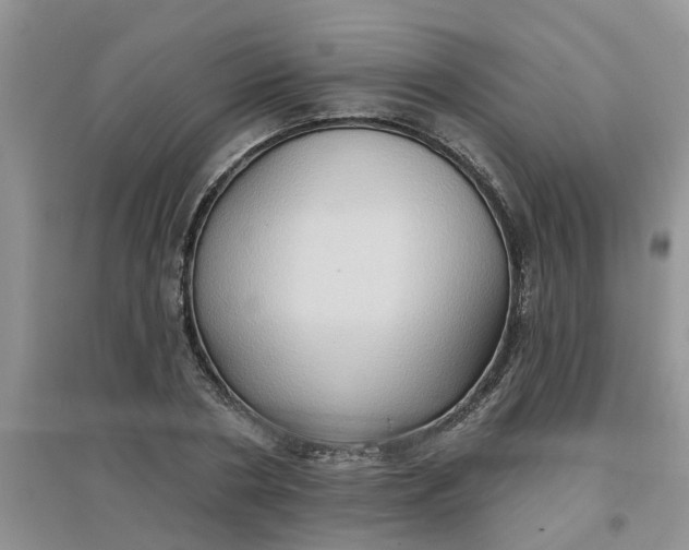 X0000097650786200803142109