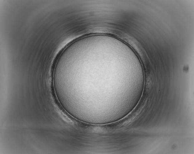 X0000097650787200803142109