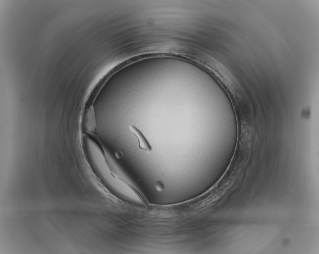 X0000097650788200803142109