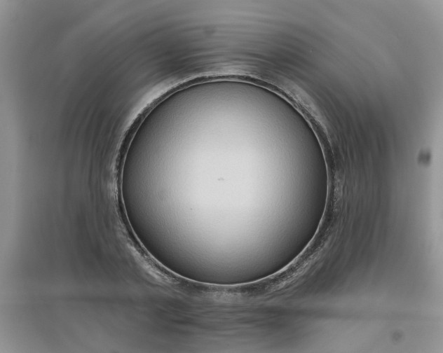 X0000097650789200803142109