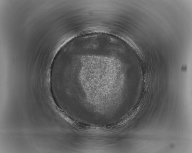 X0000097650790200803142109