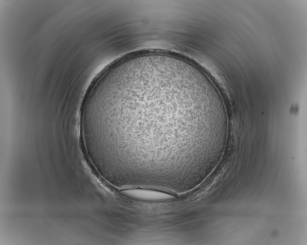 X0000097650791200803142109