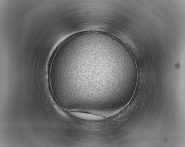 X0000097650792200803142109