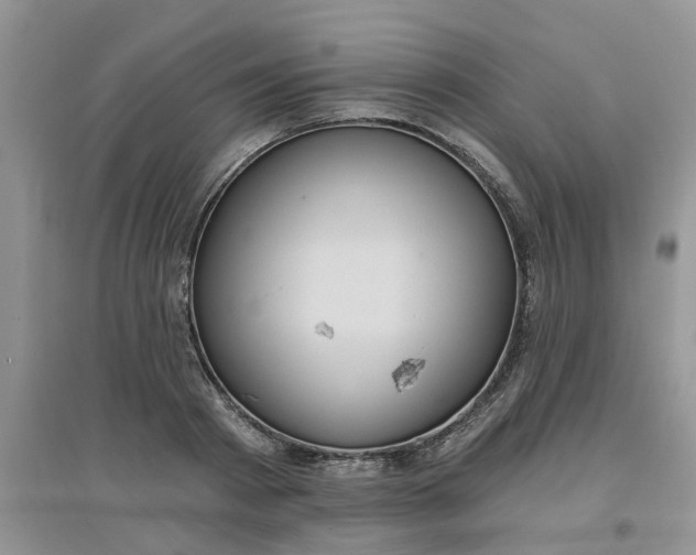 X0000097650793200803142109