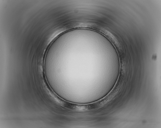 X0000097650794200803142109