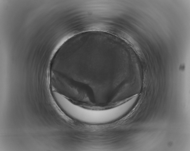 X0000097650796200803142109