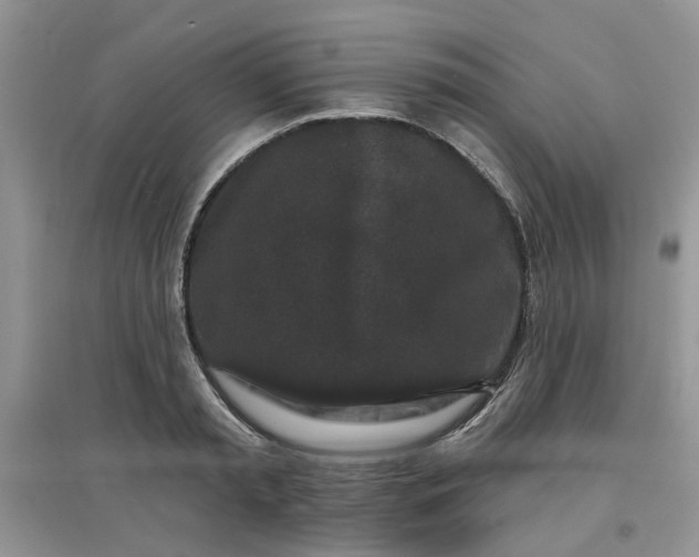 X0000097650797200803142108