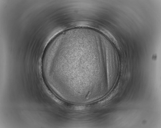 X0000097650798200803142108